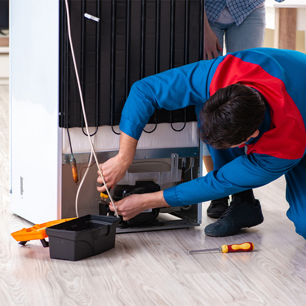 what are the common refrigerator repair services in Dellroy